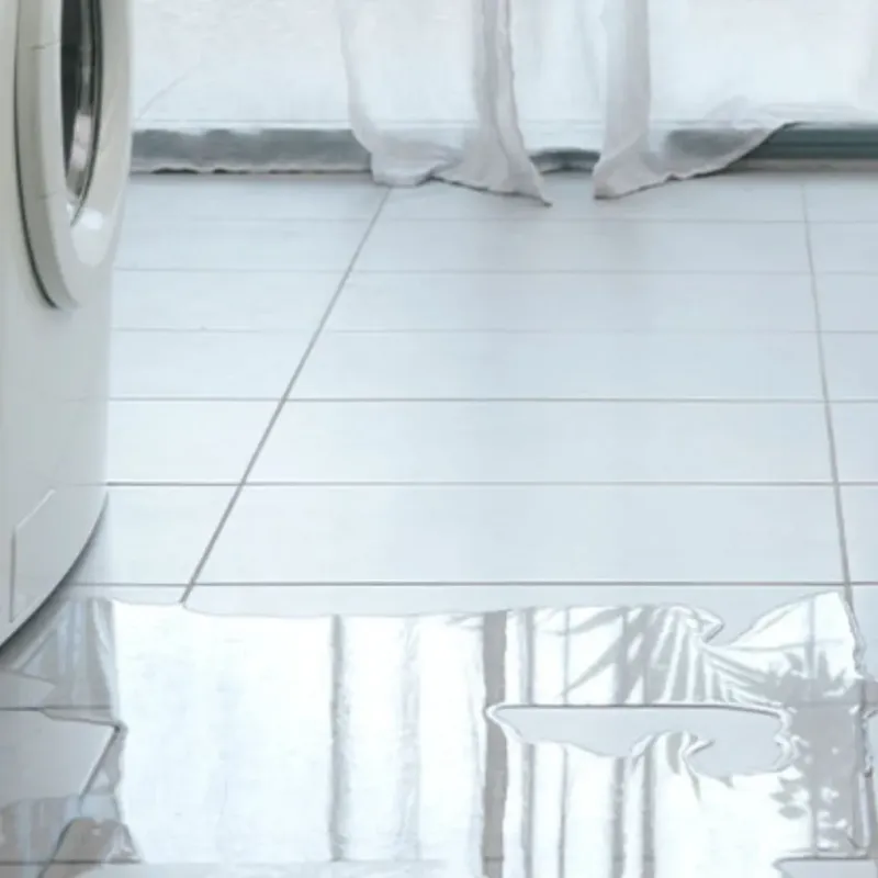 Appliance Leak Cleanup in Bull Valley, IL