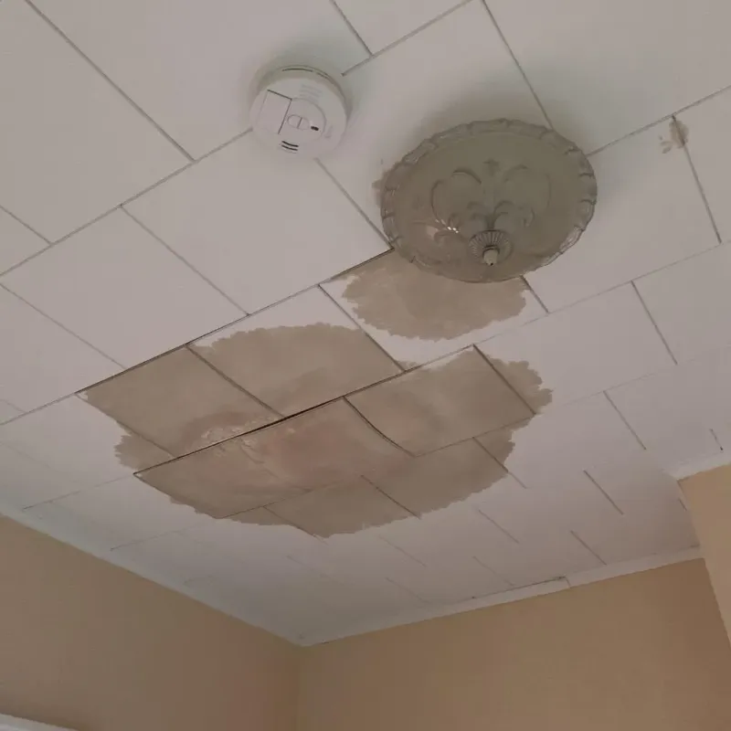 Ceiling Water Damage Repair in Bull Valley, IL