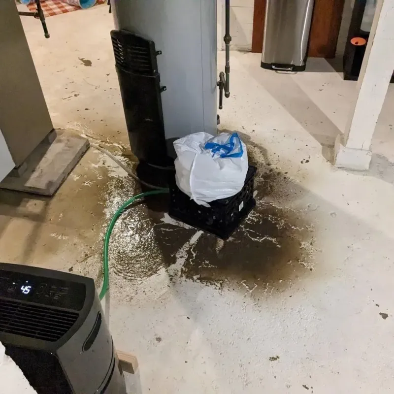 Sewage Backup Cleanup Service in Bull Valley, IL